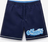NAPAPIJRI V-ZINC SHORTS