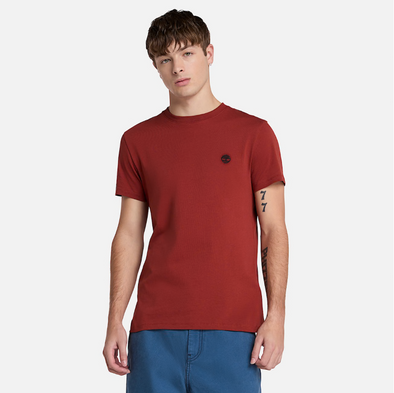TIMBERLAND DUNSTAN RIVER TEE