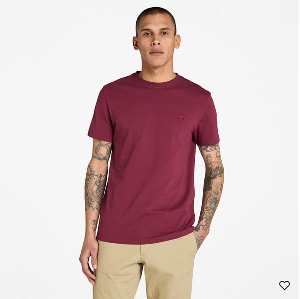 TIMBERLAND DUNSTAN RIVER T/SHIRT
